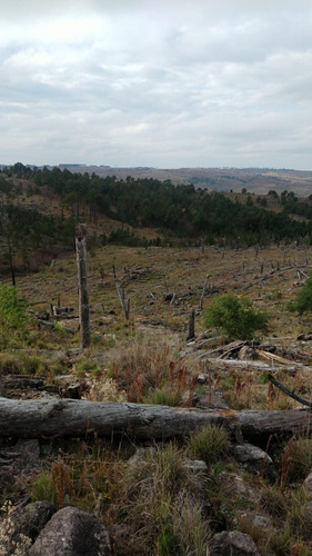 Imagen 10 de 12 de Preventa Financiado Tierras Del Cacique Yan Lotes 1200 M2 Villa Yacanto De Calamuchita - Córdoba