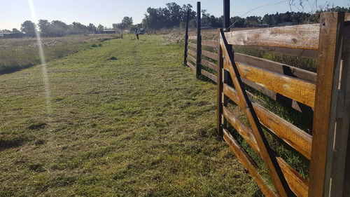 Imagen 6 de 15 de Fracción De Terreno 5.004,40 M2 En Venta Guernica
