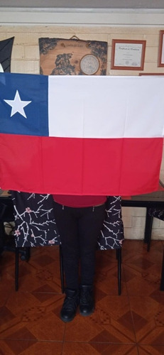 Bandera Chilena De Calidad 60 X 90, Estrella Bordada 