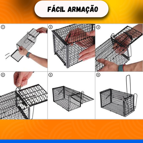 2 Kit Ratoeiras Gaiola Grd Mola Armadilha Pega Rato Ratazana
