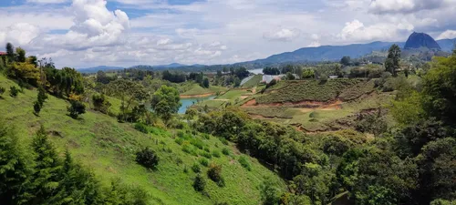 4 Lotes En Venta En El Peñol