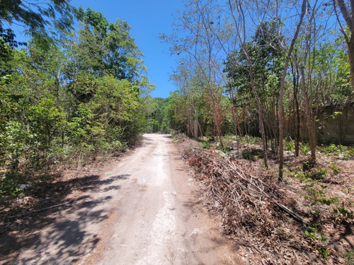 Vendo Terreno A Dos Cuadras Ave. La Luna