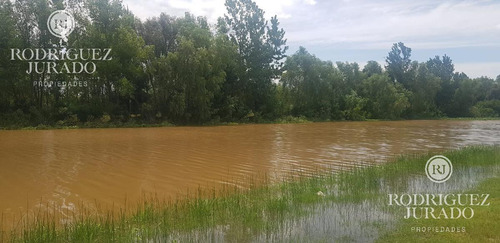 Terreno - El Naudir Lote Al Río Con Amarra Orientación Norte