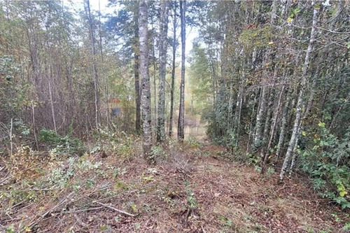 Venta De Terreno En Caburgua