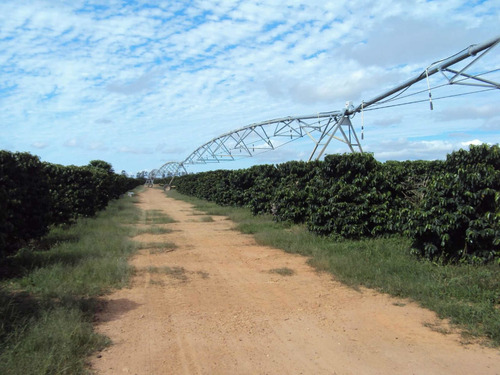 Imagem 3 de 14 de Excelente Fazenda Triplo Aptidão Minas Gerais