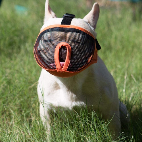 Bozal Perros Chatos Boxer, Bulldog, Shar-pei (talla L)