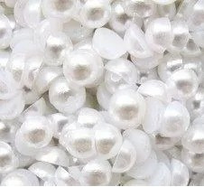 Meia Pérola Abs 8mm Cor Branco Sem Furo - 4000un Atacado