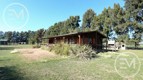 Venta Cabaña Sobre Gran Fracción De 4 Lotes Presidente Perón