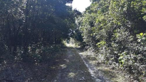 Imagem 2 de 5 de Terreno Para Chácara Bairro Chácara Lucel, Em Itanhaém -7911