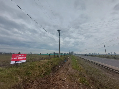 Km 8 Camino Coihueco - Pangue Propiedades