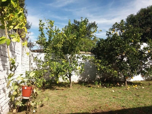 Imagen 23 de 24 de Se Vende Casa De 3 Dormitorios Con Cochera. Muy Buena Ubicacion