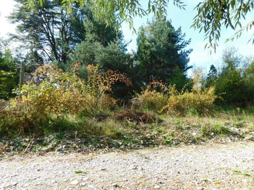 Imagen 10 de 12 de Terreno 450 Mt2 Lago Puelo Con Arboles Autoctonos Cercado