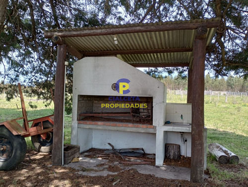 73 Hectáreas En Canelones