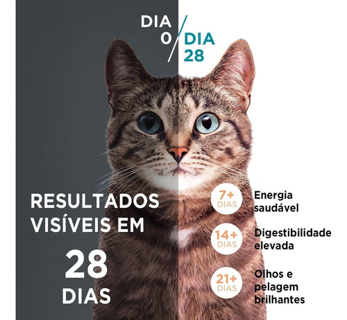 Ração Gatos Filhotes Purina One Frango E Carne 500g