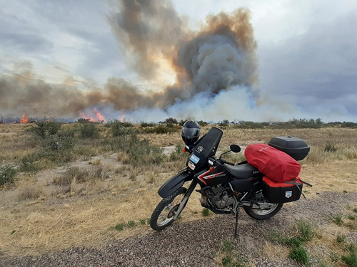 Honda Tornado 250