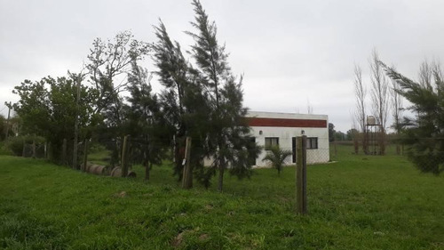 Imagen 22 de 30 de Se Vende Terreno De 15.700 M2, Con Dos Casas Y Base Para Galpon