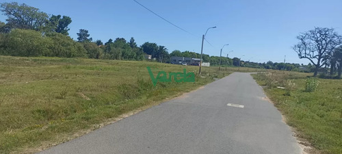 Venta Terrenos Altos Y Parejos. Lagomar . Hay Con 20 M De Frente. Suc Shangrila