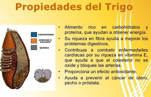 Imagen 3 de 3 de Harina De Trigo Integral - 500g