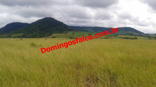 Venda - Sítio - Zona Rural - Rio Claro - Sp - D0241