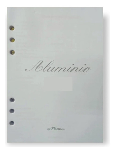 Repuesto Agenda Platino Aluminio 2024 Diario N8 15x22,5 Cm 