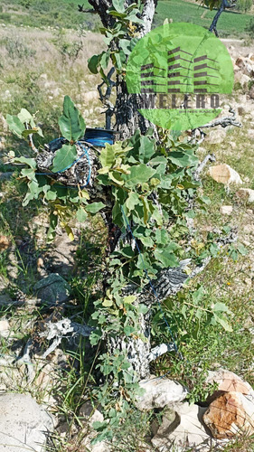 Terreno En Venta En Garabitos Viejo