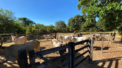Venda De Fazenda Com Estrutura Completa Potencial Produtivo