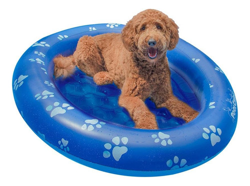 Flotador Inflable Para Mascotas Poolcandy Paw, Tamaño Grande