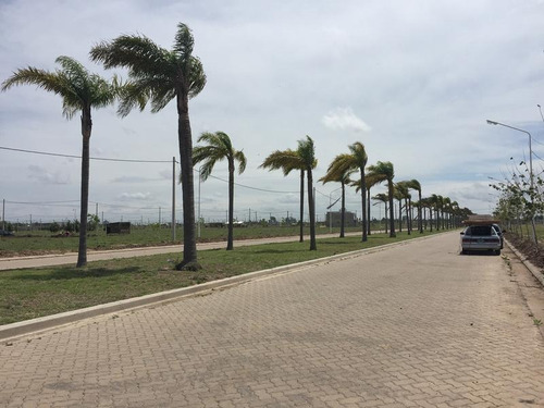 Imagen 11 de 17 de Terreno En Puerto General San Martín