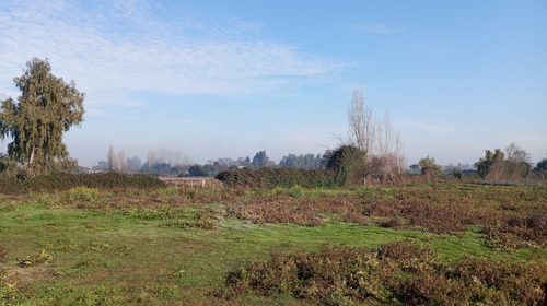 Parcela 5250m2 Rol Propio Las Cabras