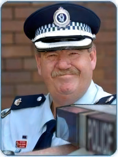 Top Cop, De David R. Nicholas. Editorial Ark House, Tapa Blanda En Inglés