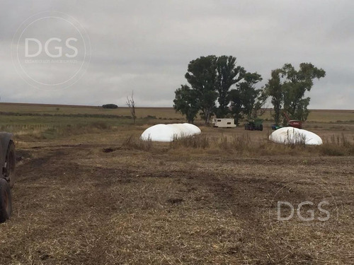 Imagen 10 de 11 de Campo De 107.000m2 En Gualeguay - Entre Rios