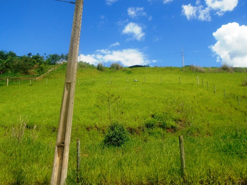 Imagem 4 de 5 de Lote Para Comprar No Bom Pastor Em Ponte Nova/mg - 4994
