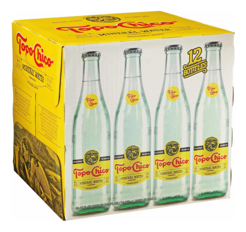 Agua Mineral Topo Chico 355ml 24piezas