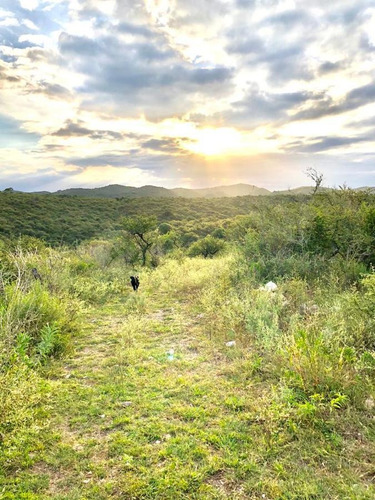 Imagen 6 de 12 de Campo - Villa Del Dique