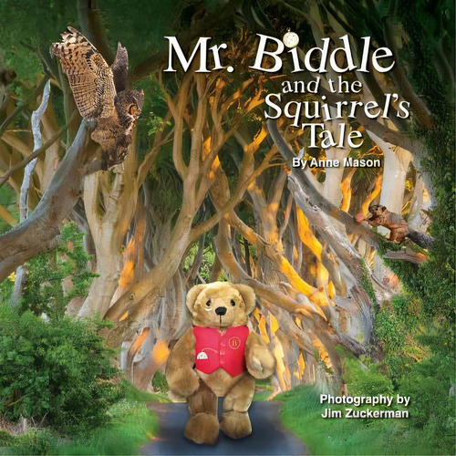 Mr. Biddle And The Squirrel's Tale, De Mason, Anne. Editorial Indigo River Pub, Tapa Blanda En Inglés