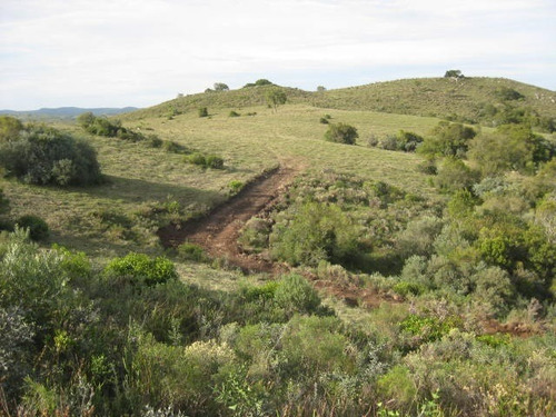 Campo En Venta