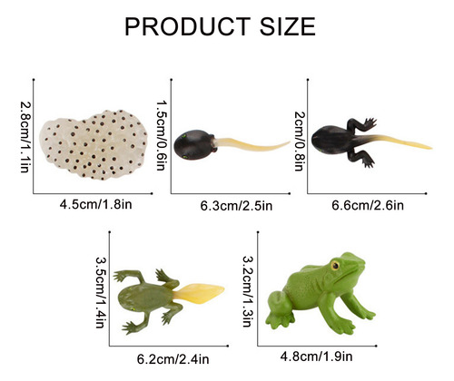 Figura De Insecto Life Cycle Plastic Brood To Period, 5 Piez