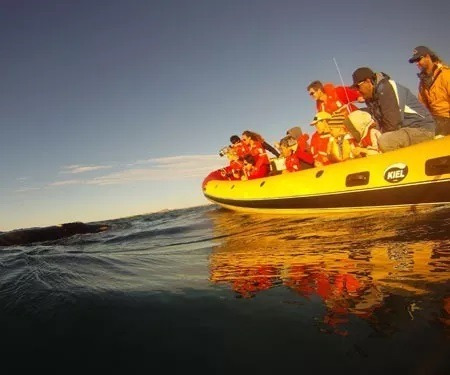 Imagen 5 de 7 de Semirrigido 670 Kiel Matrizado