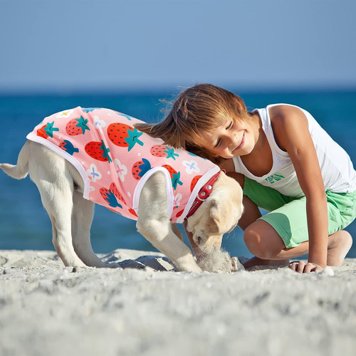 10 Unidades De Hermosas Camisas De Cachorro Estampadas Para