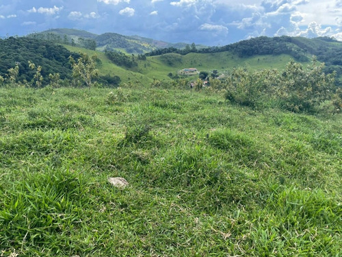 Imagem 20 de 28 de E12 Vendo Terreno Com Área Verde E Lagos Para Pescar Direto Com O Proprietário