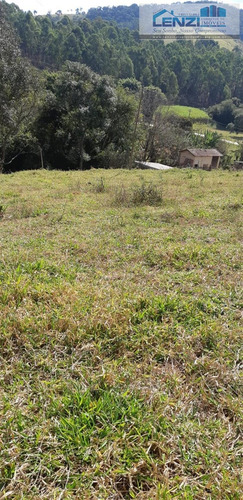 Imagem 11 de 13 de Chácaras À Venda Em Toledo/mg - Compre O Seu Chácaras Aqui! - 1479973