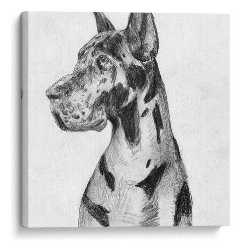 Canvas Lab Cuadro Gran Retrato De Dane I 60x60, Melissa Wang