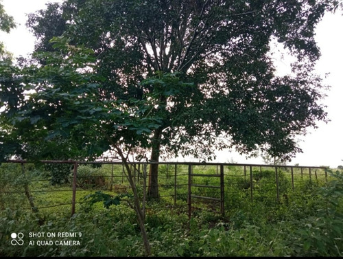 Imagen 5 de 11 de Se Vende Finca En Santa Barbara Ve02-615sb-az.