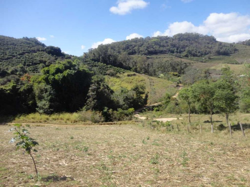 Imagem 12 de 30 de Fazenda De Café Em Monte Sião-mg - 7676