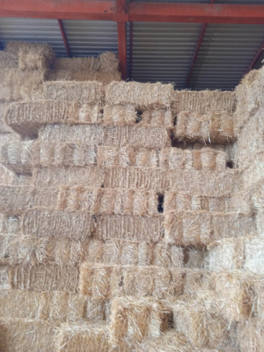 20kg De Sustrato Para Hongos