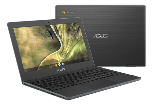Notebook Asus Chromebook Intel Celeron N4020 64gb Ssd 4gb Color Dark Grey