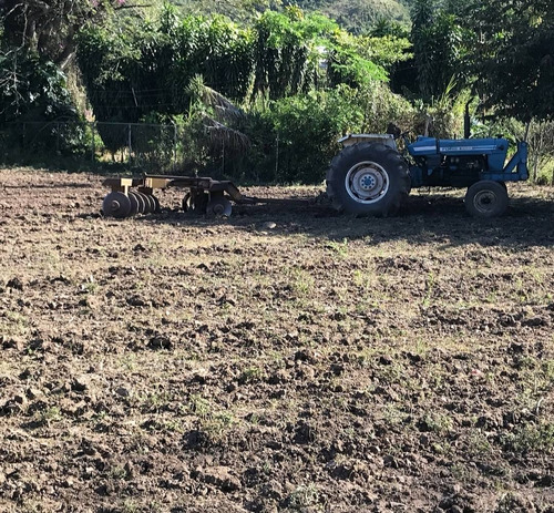 Imagen 5 de 11 de Finca En Venta El Pao La Victoria 15/9/20