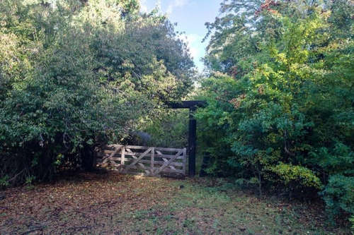 En Venta 1hectárea En Quila Quina Lago Lácar San Martín De Los Andes
