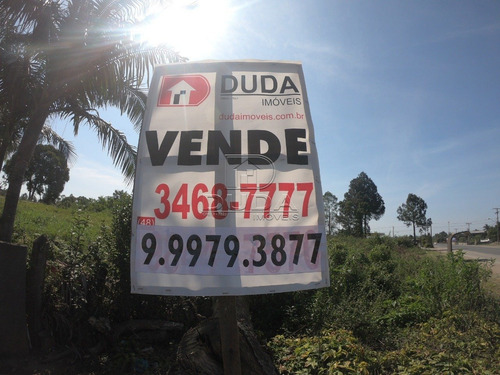 Imagem 10 de 15 de Terreno Comercial - Sangao - Ref: 30533 - V-30531