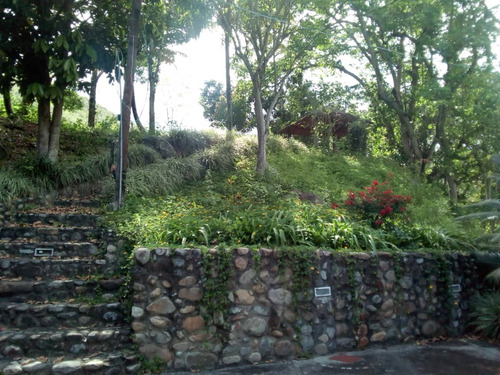 Amplia Finca En Cumana
